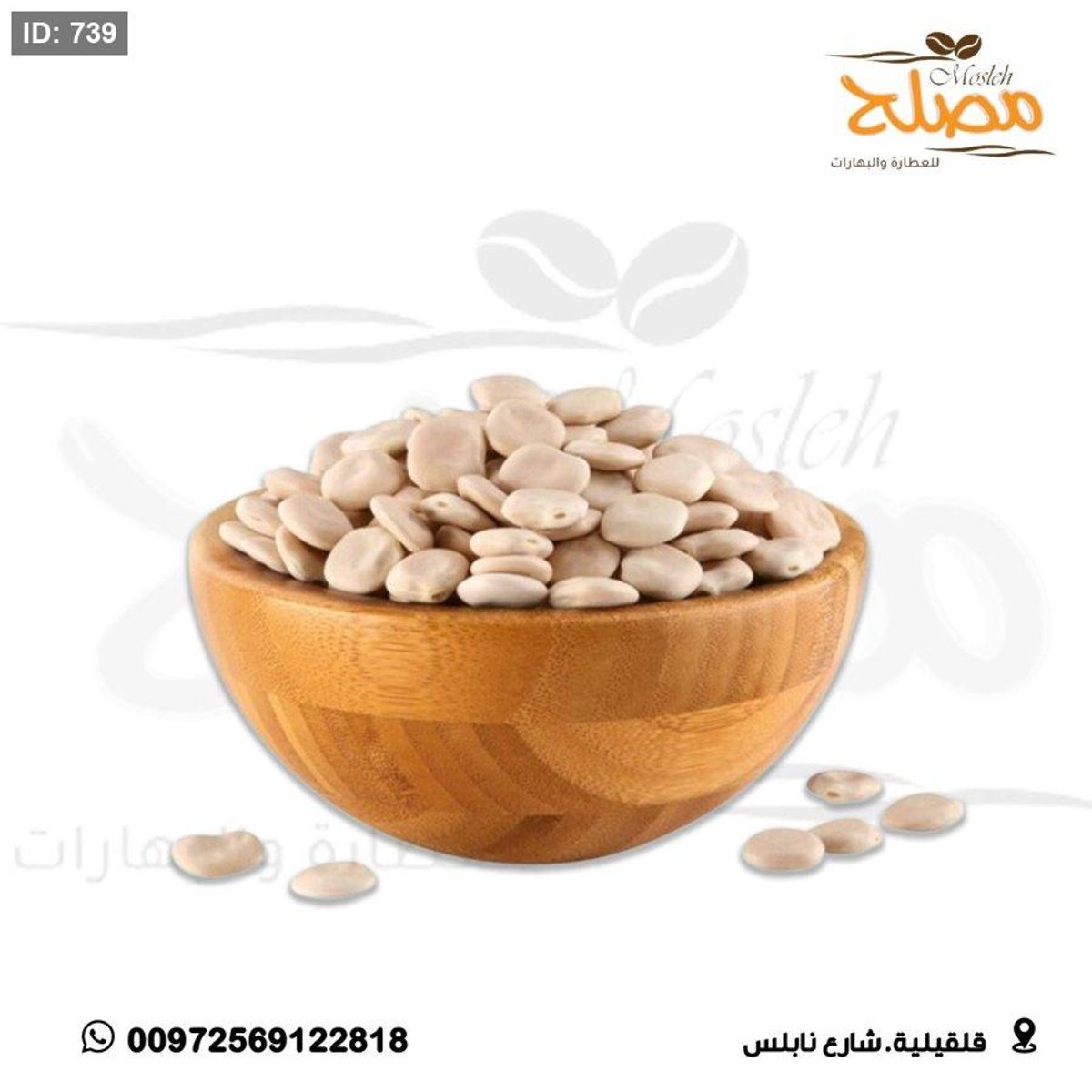ترمس مر حبة كبيره