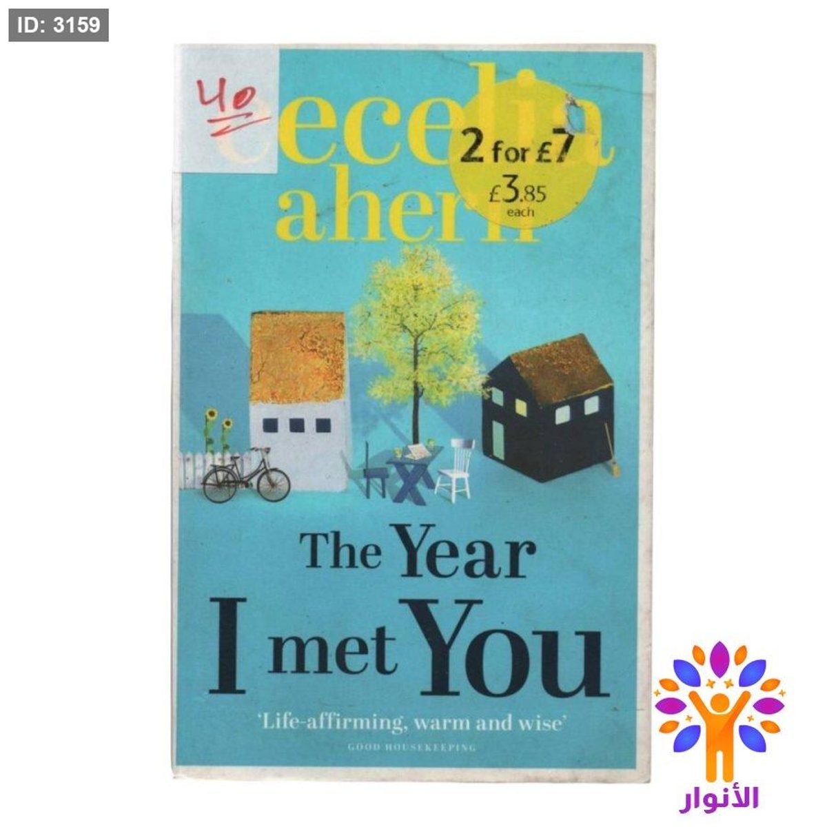 The Year I met You