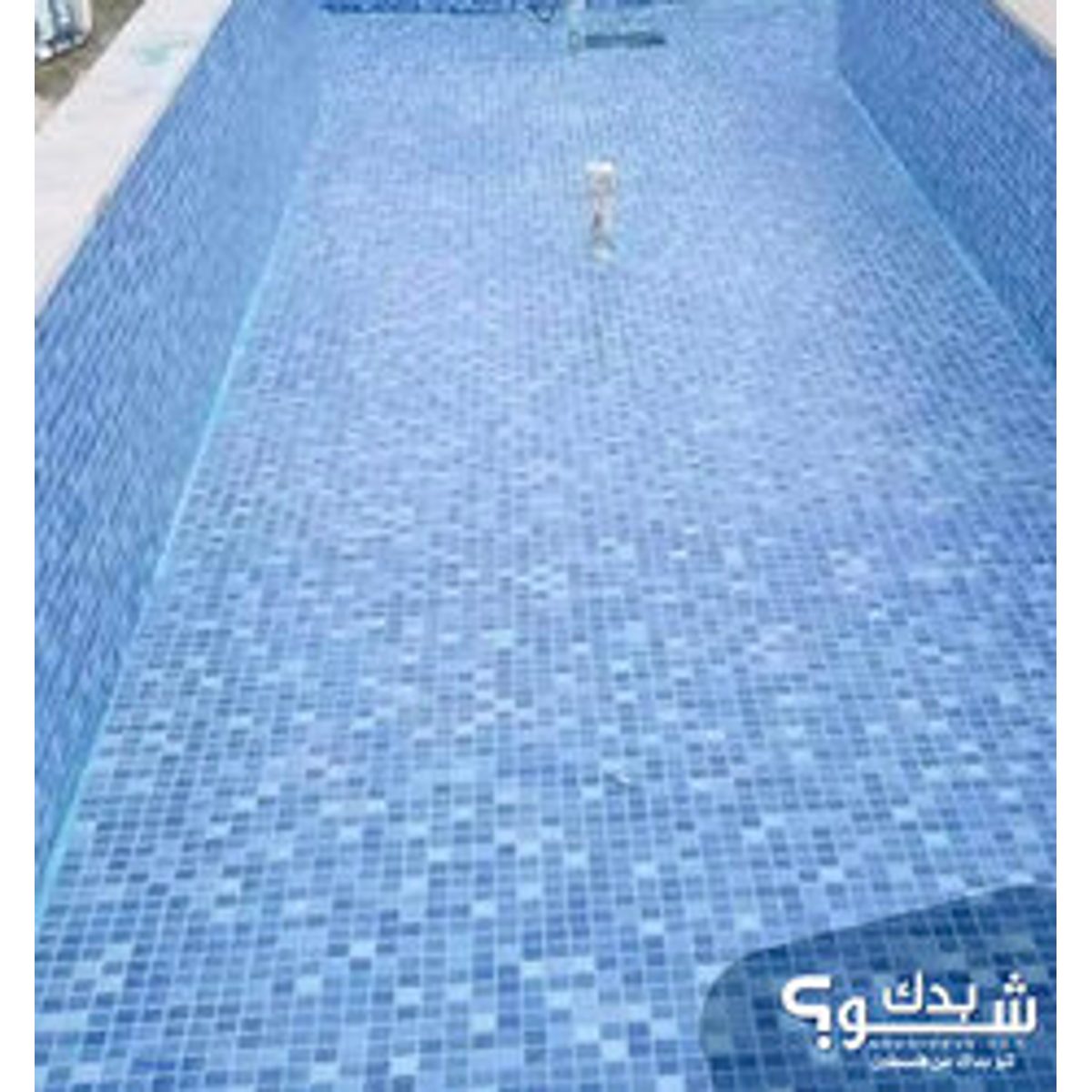بليط — رفيق محمد أبوريان