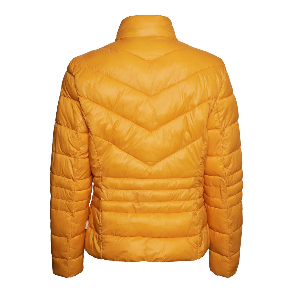 SHORT JACKET 6