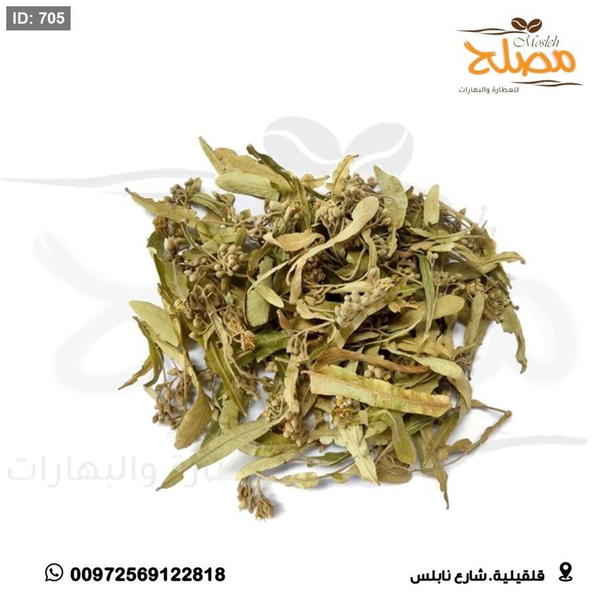 زيزفون