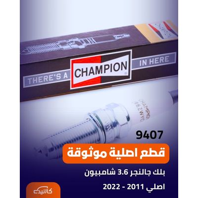 بلك جالنجر 3.6 شامبيون اصلي 2011 - 2022