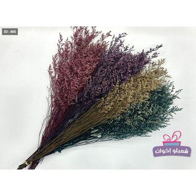 ليمونيوم مجفف