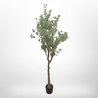 قوار شجرة ورق اخضر حجم وسط 150سم