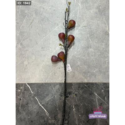 عروق تين