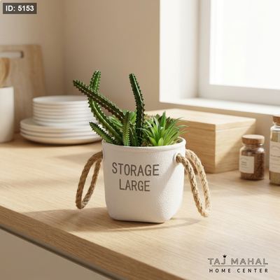 نبات صبار صناعي في وعاء ابيض