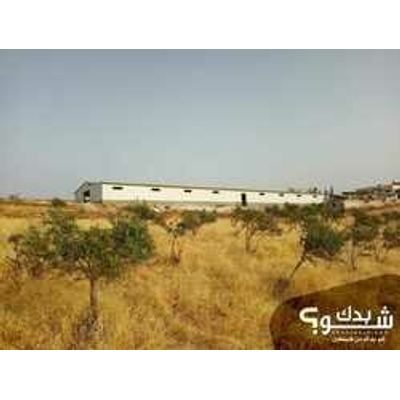 حداد — محمود محاريق