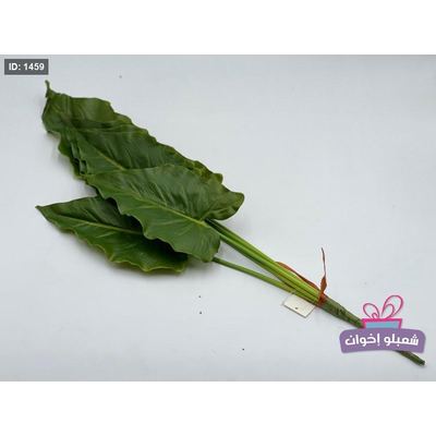 عروق خضار كبيره