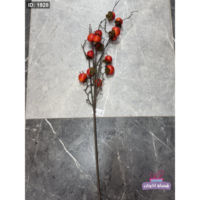 عروق فواكه