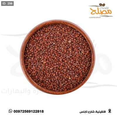 بذور فجل