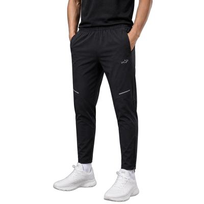 STAPLE REGULAR PANTS