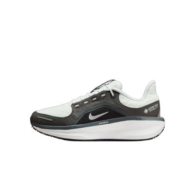 Nike Winflo 11 GORE-TEX
