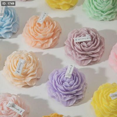 قالب سيليكون مينيP-170