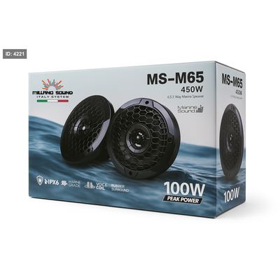 MS-M65T 450W 100RMS 6.5INCH