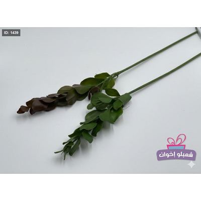 عرق اخضر