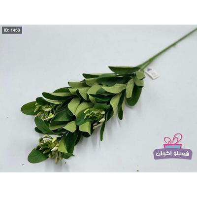 غصن شجره مع براعم