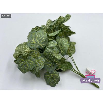 عرق اخضر