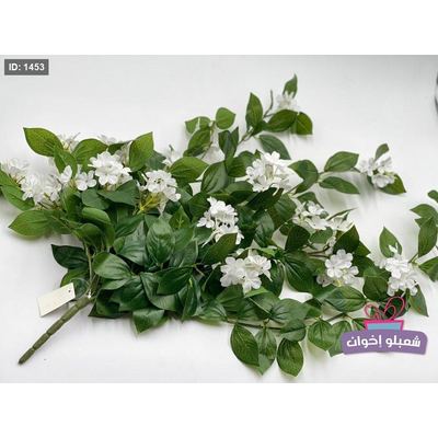غصن اخضر مع ورد مداد