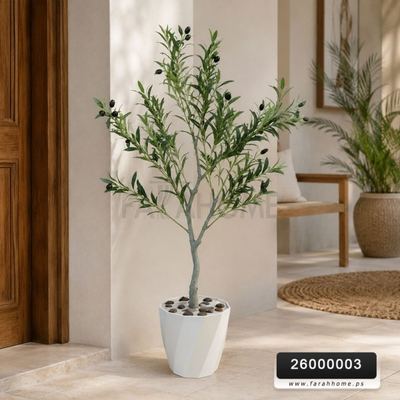 شجرة حب زيتون اخضر  120 سم  قوار ابيض