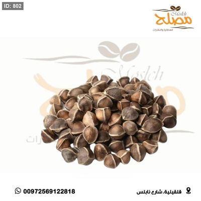 بذور المورنجا