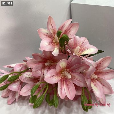 ورد زنبق (Lily)