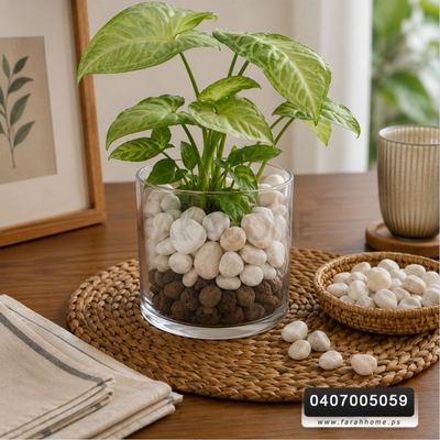 حجر - كيس صغير احجار زينة للقوارير ابيض بني