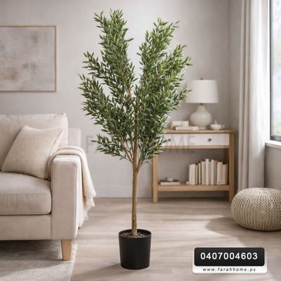 شجرة زيتون اخضر 180سم قوار اسود