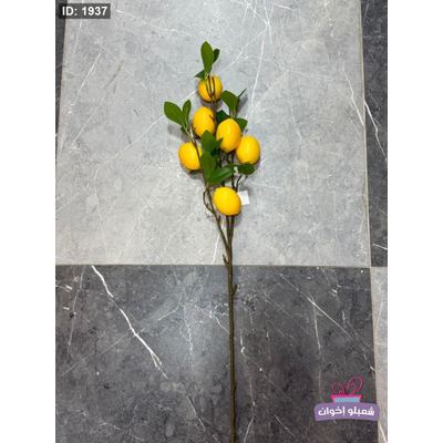 عروق ليمون