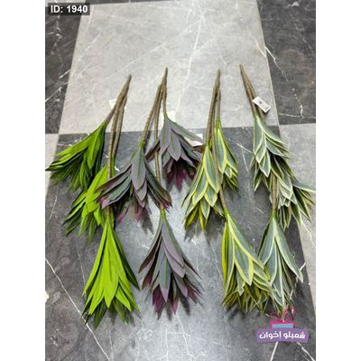 عروق خضار