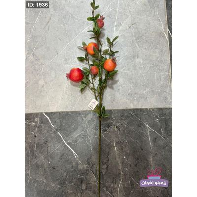 عروق رمان