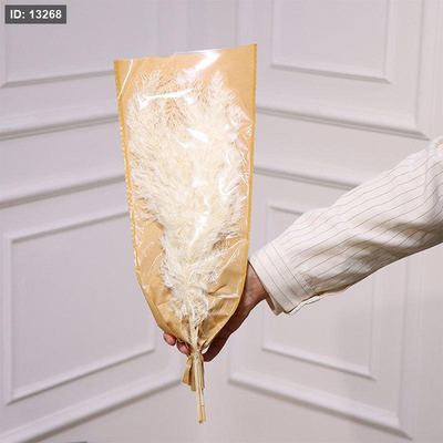 ضمة ريش بيج تغليف ورق وجه سلفان EL41/4 =ط58
