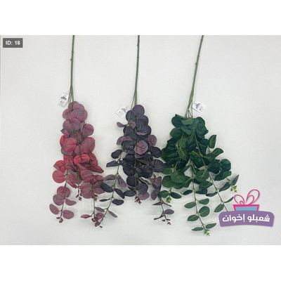 عروق زعتر