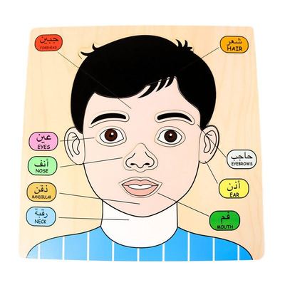 لوح خشبي للحواس