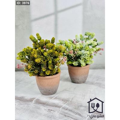 قوار ورد فخار بورسلان عشب اخضر كبير