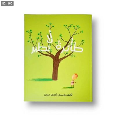طائرة لا تطير