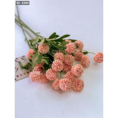 عرق ورد