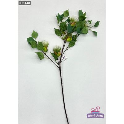 عروق خضار