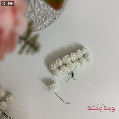 ورد فلين حجم صغير لون أبيض