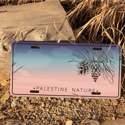 Car plate - صنوبر