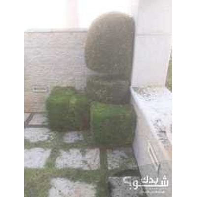 فني بساتين / تنسيق حدائق — مجد الملح