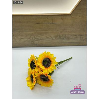 عباد الشمس