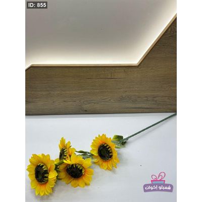 عباد شمس طويل