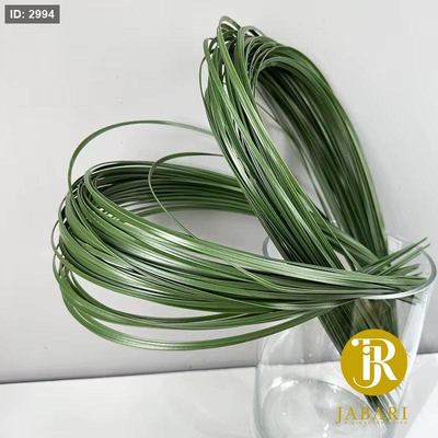 عروق خَضار للزينة - ( حجم 80*0.5 سم ) ( 12 قطعة )