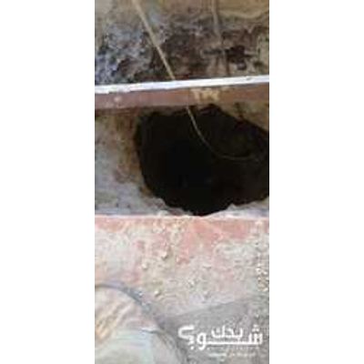 حفريات — سامح شري