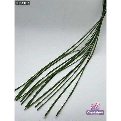 عروق بصل 12 عرق