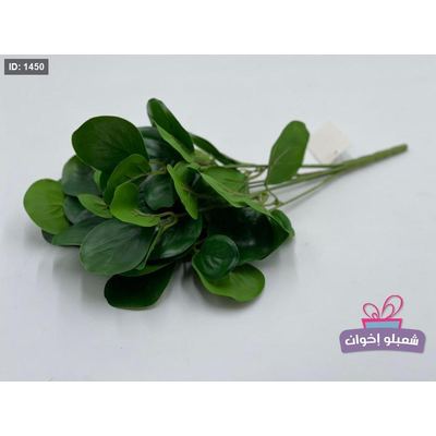 عرق اخضر