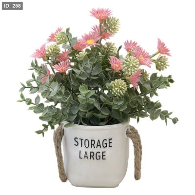 وردة زينة شجيرة