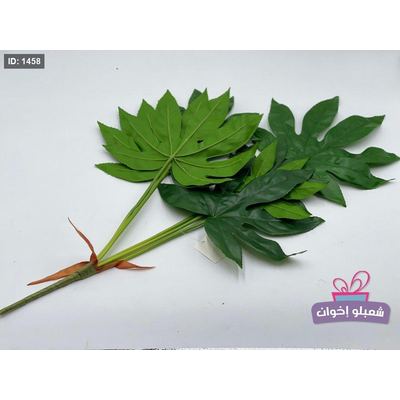 عروق خضار كبيره