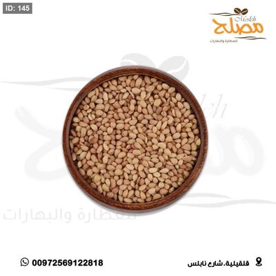 محلب تركي