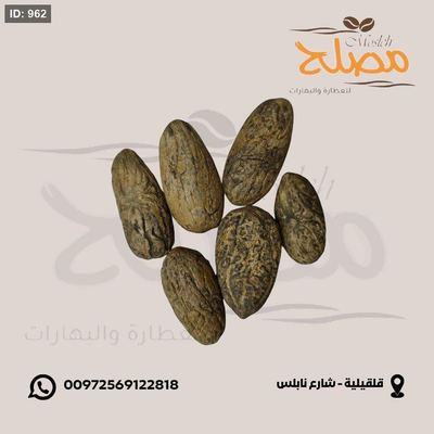 عصا موسى ( فونيا )